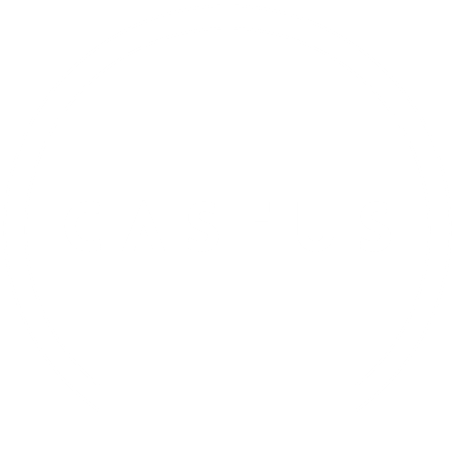 Caseus Logo